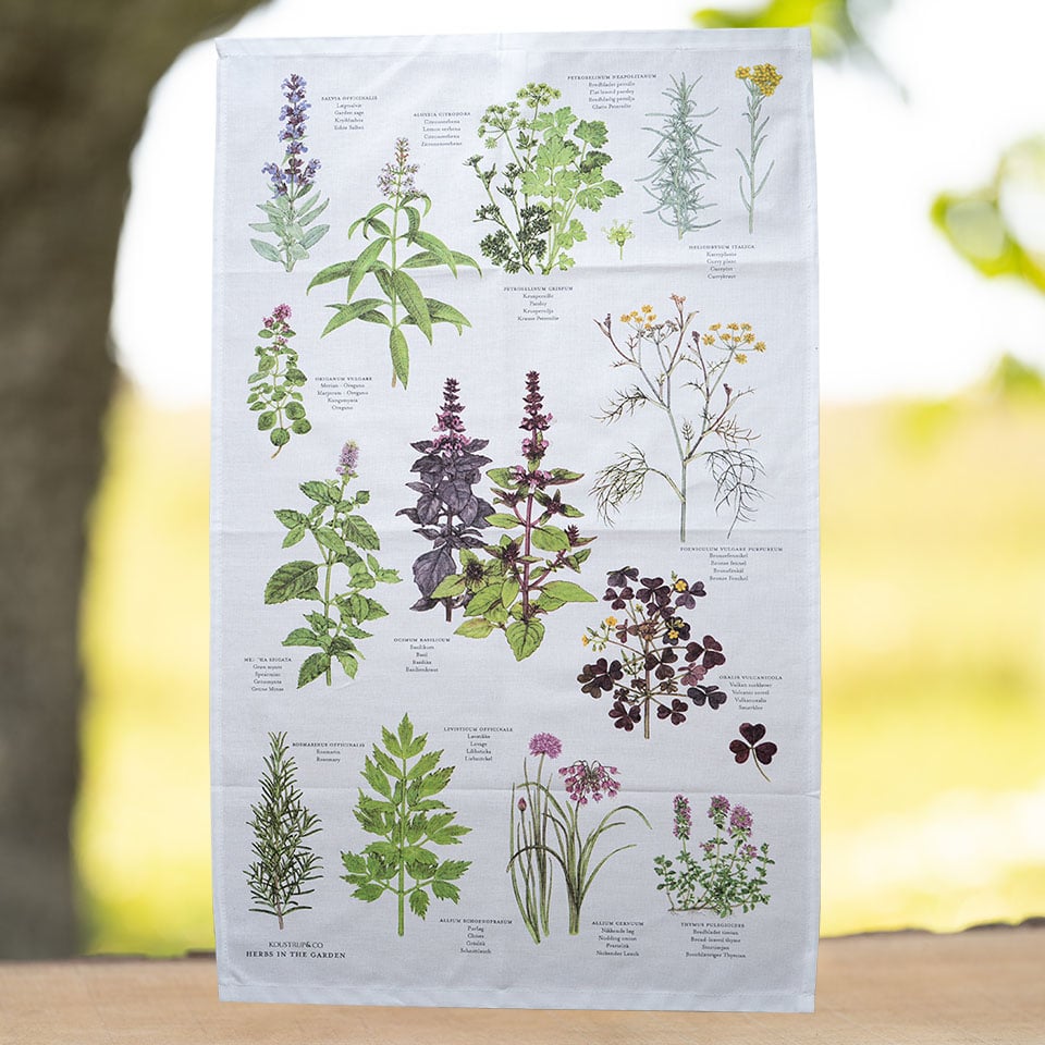 Geschirrtuch Küchenkräuter aus Bio Baumwolle